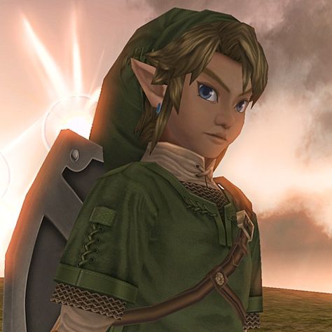 Link Zelda Twilight Princess, Twilight Link, Zelda Screenshots, Link Twilight Princess, Legend Of Zelda Characters, Link Cosplay, Zelda Twilight Princess, Link Zelda, Japanese Games