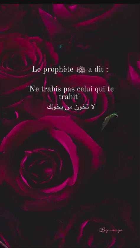 Muslim Couple Quotes, Muslim Lifestyle, Allah Islam, Muslim Quotes, Quran Verses, Islamic Calligraphy, Quran, Allah