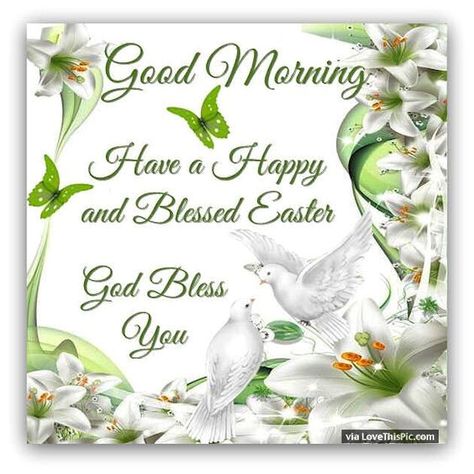 Good Morning Have A Happy And Blessed Easter Easter Wishes Messages, Easter God, Happy Easter Messages, Happy Easter Pictures, Happy Easter Quotes, Blessed Easter, Easter Prayers, Happy Easter Sunday, Easter Greetings Messages