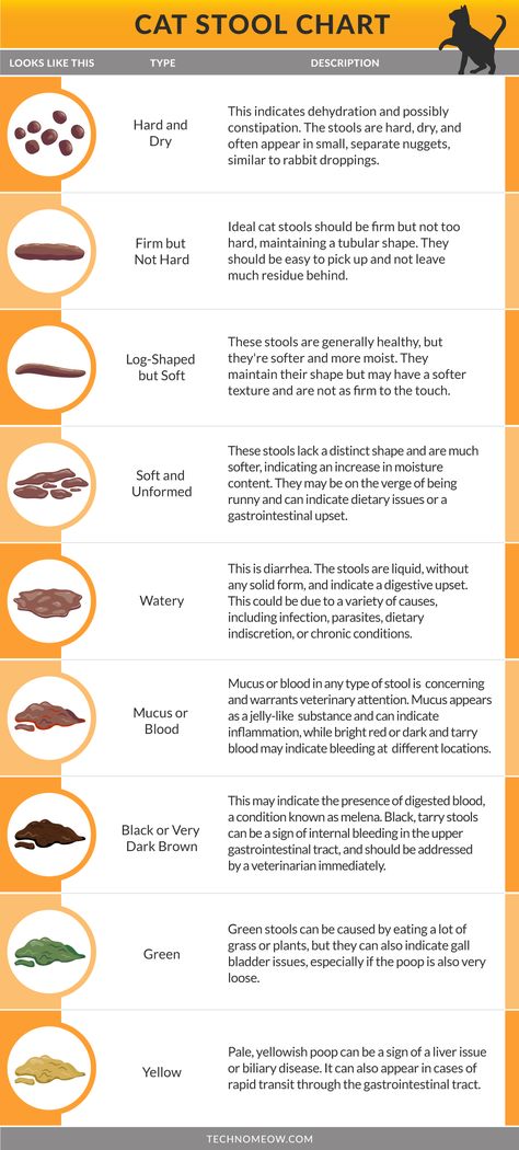 Cat Stool Chart: Cat Poop Explained - a visual guide to your cat's health. This chart breaks down the various appearances of cat stool and what they mean, helping you quickly identify normal and concerning signs. A must-have resource for cat owners to ensure prompt care and a healthy, happy pet. #CatHealthChart #CatWellness #UnderstandingCatPoop Cat Poop Chart, Cat Pooping On Floor, Vital Signs Chart, Cat Petting, Stool Chart, Cat Tips, Cleaning Litter Box, Ad Ideas, Cat Health Care