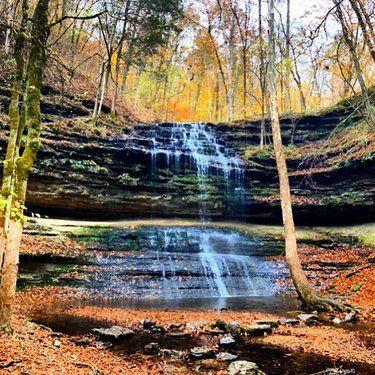 6 Must-Do Outdoor Excursions in Columbia, TN Columbia Tn Things To Do, Things To Do In Cosby Tn, Cookeville Tn, Frozen Head State Park Tn, Columbia Tennessee, Best Hikes Gatlinburg Tn, Polaris Side By Side, Log Cabin Rentals, Lake Fishing