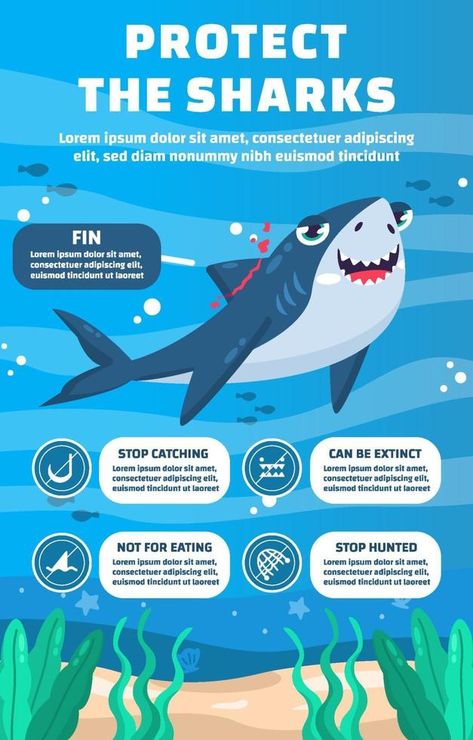 Shark Information, Environment Poster, Shark Facts, All About Sharks, Poster Project, Infographic Poster, Marine Ecosystem, Search Video, Animal Facts