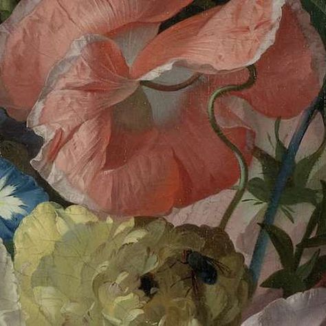 Flowers-Collected Works of Anna - All Rijksstudio's - Rijksstudio - Rijksmuseum Rachel Ruysch, Still Life Artists, Collage Drawing, Floral Artwork, Still Life Art, Ethereal Art, Still Life Painting, Botanical Art, Beautiful Paintings