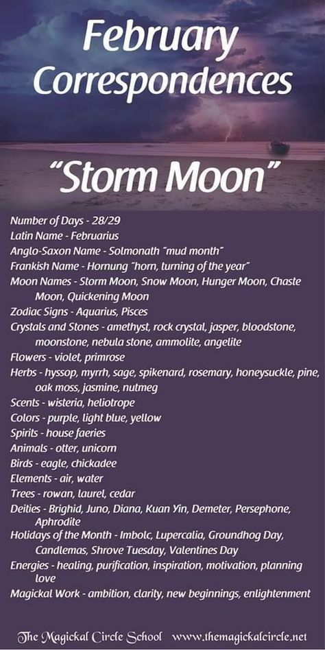 Witchy Calendar 2024, Monthly Correspondences, February Full Moon, Wicca Holidays, Full Moon Names, Lunar Witch, Moon Zodiac, Snow Moon, Moon Meaning