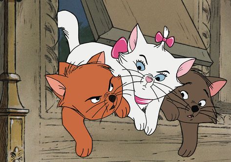 Cute site to see life lessons from Disney movies! The Aristocats, Star Wars Disney, Be First, Disney S, Disney Movies, We Need, We Heart It, Need To Know, Lost