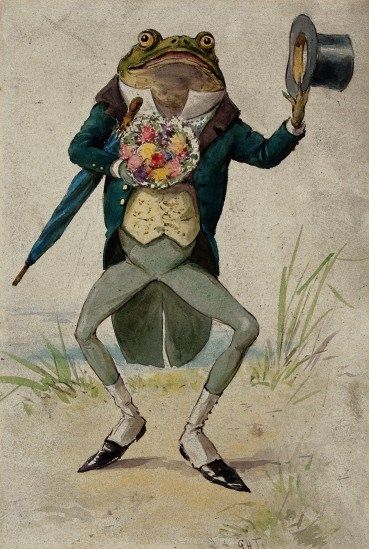 Frog dressed as gentleman with flowers, top hat and umbrella by George Hope Tait. The Wellcome Library, CC-BY Frog Dress, Frog Illustration, Arte Peculiar, Frog Drawing, Whimsical Artwork, Frog Art, A Frog, Frog And Toad, Arte Animal