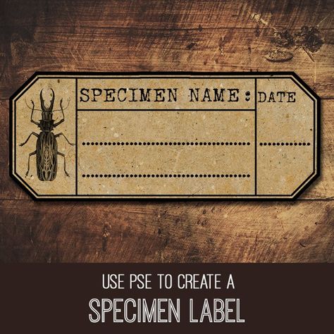 Design a Specimen Label in PSE - The Graphics Fairy Premium Membership Specimen Labels, Fairy Specimen, Grafics Fairy Free Printable, Apothecary Labels Free Printables Blank, Specimen Cards For Junk Journals, Vintage Specimen Labels, Photoshop Elements Tutorials, Science Birthday, Shape Templates