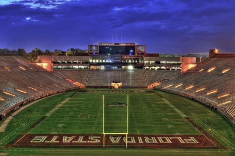 Florida State University Seminoles Stadium. Alex Owens, Fsu Baseball, Florida State Seminoles Football, Seminoles Football, Field Paint, Spring Games, Dream College, Dream School, Florida State University