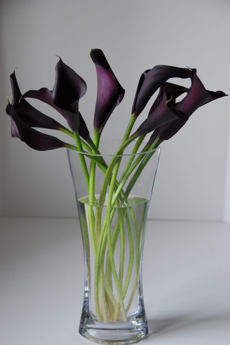 Gorgeous simple and elegant with black Calla Lily ! rehearsal dinner centerpiece