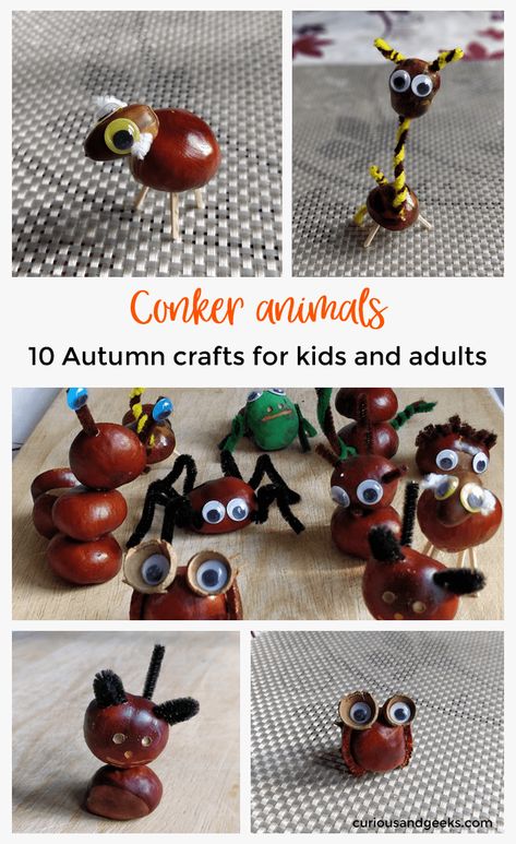 Autumn crafts for kids and adults - Do you have a lot of conkers o chestnuts? Here are some ideas to craft chestnut animals to keep you busy on a rainy afternoon! Conkers Craft, Autumn Crafts For Kids, Buckeye Crafts, Craft Animals, Cardboard Crafts Kids, Symbol Tattoo, Easy Fall Crafts, Deco Nature, Fall Crafts For Kids