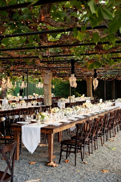 Outdoor Dinner Party Creative Engagement Party Ideas, Beaulieu Garden Wedding, Beaulieu Garden, Outdoor Dinner Parties, Napa Valley Wedding, Romantic Garden Wedding, Napa Wedding, Outdoor Dinner, Tables And Chairs