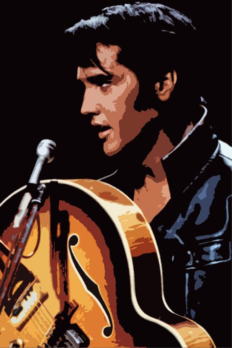 The King Celebrities Who Died, Male Singers, Elvis Presley Images, Disney Silhouettes, Young Elvis, Arte Indie, Elvis Presley Pictures, Roy Orbison, Elvis Presley Photos