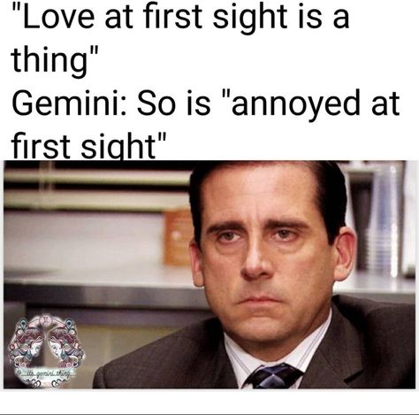 Gemini Funny, Gemini Zodiac Facts, Gemini As A Person Aesthetic, Gemini Feelings, Zodiac Sign Descriptions, Gemini People, June Gemini, Gemini Personality, Gemini Zodiac Quotes