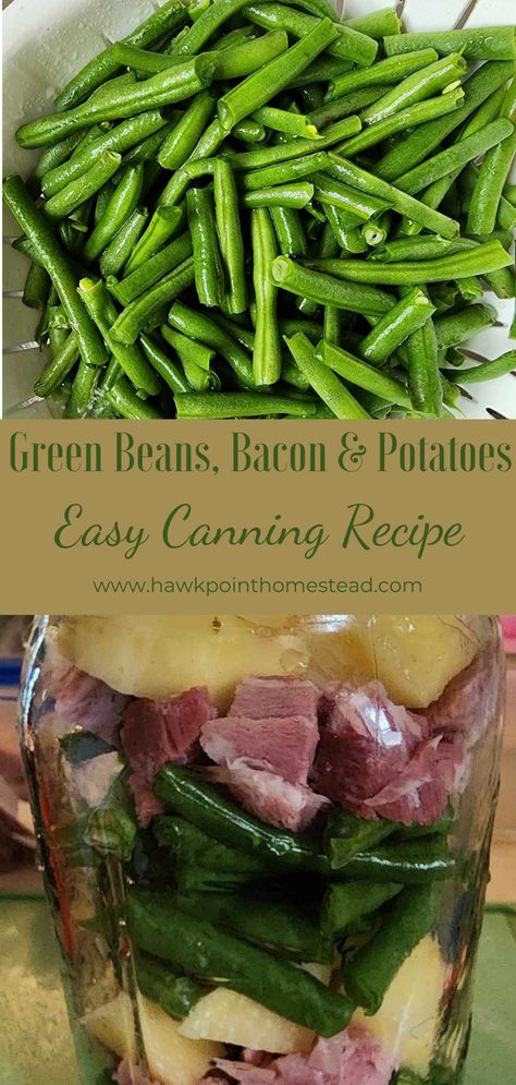 Green beans are one of the best things to come out of the garden in the summer. You can’t beat fresh green beans! Especially cooked in a pot with some bacon and potatoes! Canning your fresh green beans to have all winter long is one of the best things about canning. So much better than canned green beans from the grocery store. This canning recipe is so delicious and easy and you have your pot of green beans, bacon and potatoes right on your shelves ready to go anytime you want all winter long! Green Bean Canning Recipes, Bourbon Bbq Sauce Recipe, Green Beans Bacon, Canning Green Beans, Bacon And Potatoes, Canning Beans, Canned Green Beans, Canning Potatoes, Easy Canning