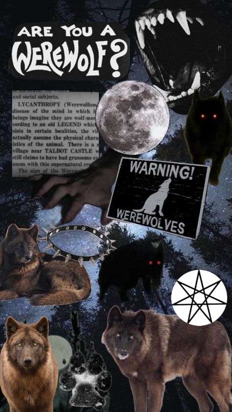 Werewolf Aesthetic, Draco Malfoy Fanart, Fantasy Wolf, Gothic Wallpaper, Maybe In Another Life, Wolf Wallpaper, Greek Mythology Art, Cute Black Cats, Mythology Art