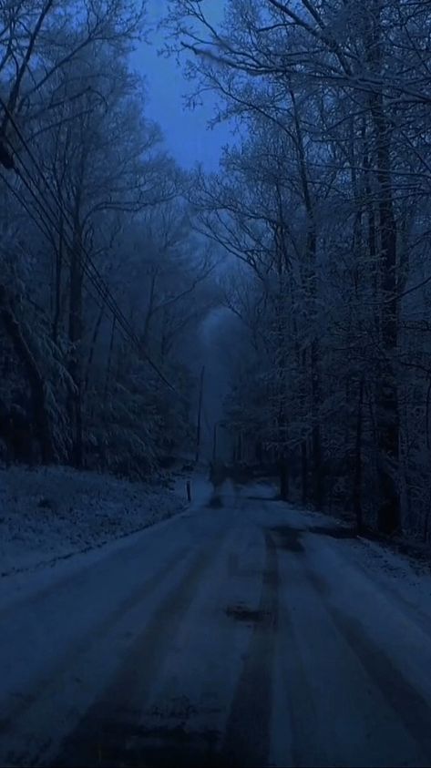 Snow Night, Dark Forest Aesthetic, Blue Aesthetic Dark, Dark Landscape, Dark Christmas, Love Winter, Dark Nature Aesthetic, I Love Winter, Dark Winter