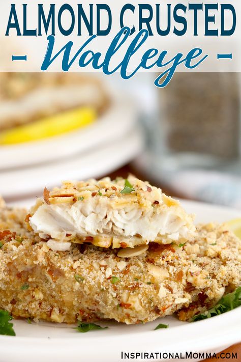 Almond crusted walleye makes a delicious recipe the whole family will love. Flaky cod crusted with a seasoned almond coating? Delicious! #inspirationalmomma # almondcrustedwalleye #almondcrustedwalleyerecipe #walleyerecipes Almond Crusted Fish, Walleye Recipes, Crusted Fish, Walleye Fish Recipes, Almond Crusted, Fish Recipe, Sliced Almonds, Almond Recipes, Fish Dishes