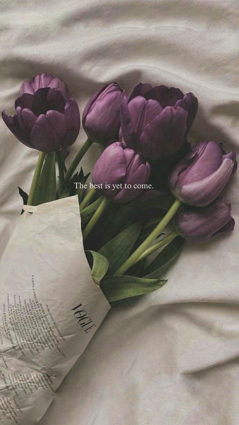 Tulips Quotes, Tulips Aesthetic, Pretty Phone Wallpaper, Bullet Journal Diy, Purple Tulips, Flower Therapy, The Best Is Yet To Come, Origami Flowers, Flower Quotes