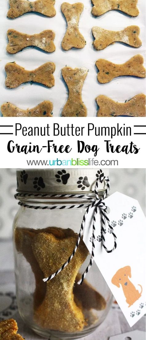 Grain Free Dog Treats, Danny Dog, Dog Treats Recipe, Dog Treats Grain Free, Dog Biscuit Recipes, Peanut Butter Pumpkin, Pumpkin Dog Treats, Food Dog, Diy Dog Treats