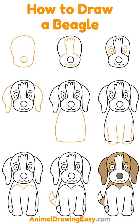 How to Draw a Beagle Step by Step #Beagle #BeaglePuppy #BeagleDog #BeagleAesthetics #BeagleDrawing #HowtoDrawaBeagle #BeagleArt #BeagleTattoo #BeagleIdea #Aesthetics #StepbyStepBeagle #StepbyStepDrawings How To Draw A Beagle, Beagle Dog, Funny Drawings, Communication Design, Learn To Draw, Polar Bear, Mammals, Funny Animals, Funny