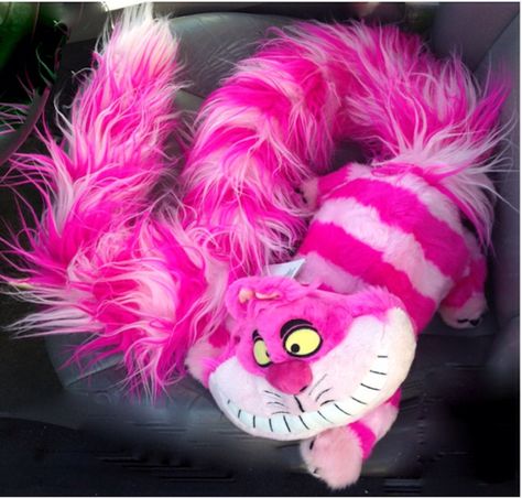 Cheshire Cat Plush, Alice In Wonderland Cheshire Cat, Wonderland Cheshire Cat, Disney Alice In Wonderland, Disney Plush, Disney Alice, Cat Plush, Cheshire Cat, Disney Merchandise