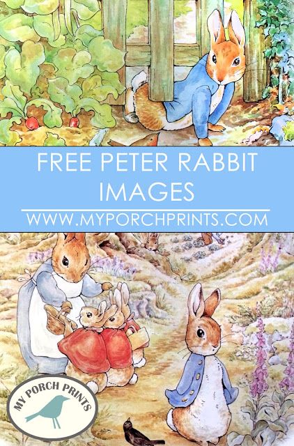 Free Peter Rabbit Beatrix Potter Images Download Beatrix Potter Peter Rabbit Illustrations, Peter Rabbit Illustration Beatrix Potter, Peter Rabbit Poster, Beatrix Potter Landscape, Beatrix Potter Free Printables, Peter Rabbit Baby Nursery, Beatrix Potter Decor, Diy Peter Rabbit Decorations, Peter Rabbit Junk Journal