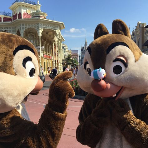 Chip And Dale Aesthetic, Dale Aesthetic, Disneyland Characters, Disney Moments, Pluto Disney, Bibbidi Bobbidi Boo, Animal Mascot, Chip N Dale, Room Prints