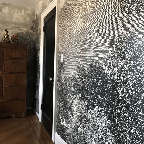 Etched Arcadia Mural. Wallpaper Etched Arcadia Mural, Etching Wallpaper, Etched Wallpaper, Interior Design Bedroom Master, Interior Design Bedroom Teenage, Wallpaper Forest, Diy Mural, Black Door, Branch Decor