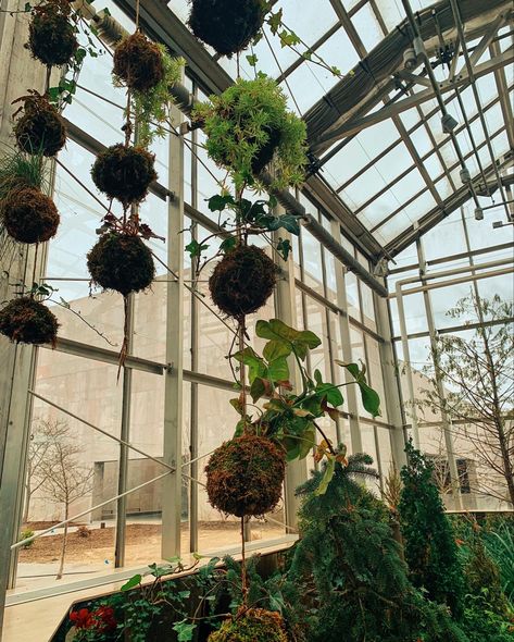 Sunlight Through Window, Aesthetic Greenhouse, Botanical Conservatory, Greenhouse Aesthetic, Window Greenhouse, Notion Aesthetic, Spring Love, Moss Balls, Aesthetic Decor