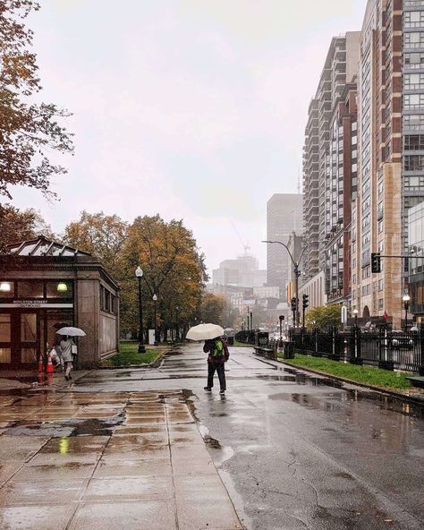 18 Fun Rainy Day Activities in Boston: Indoor Things to Do Rainy Day Dates, Boston Activities, Indoor Things To Do, Fun Rainy Day Activities, Boston Travel Guide, New England Aquarium, Things To Do In Boston, To Do In Boston, Massachusetts Travel