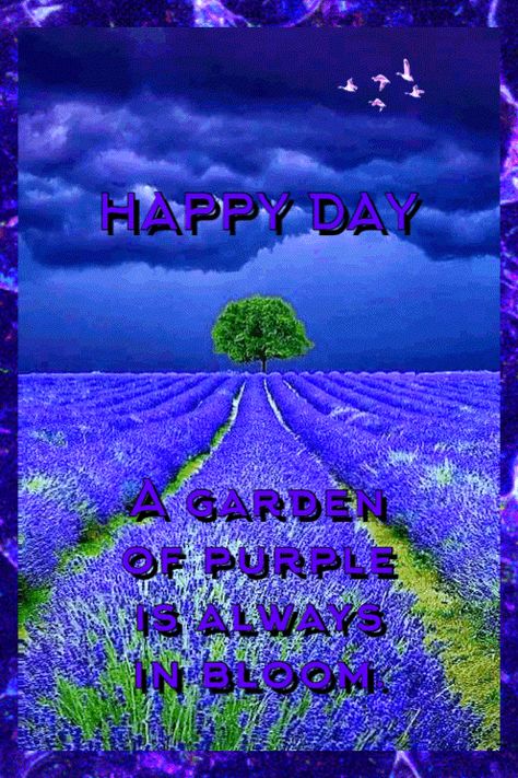 Happy Purple Day, Purple Good Night, Happy New Month August Prayer, Happy Buddha Purnima Images, Affirmations For A Great & Peaceful Day, Shirdi Sai Baba Wallpapers, 15 August Independence Day, Sai Baba Wallpapers, Love Poem For Her