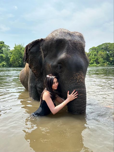 Sharing a moment with this magnificent creature. 🐘 #bangkok #elephant #thailand #thailandtravel #elephants #wildlife #adventure #explorepage #explorer #travelgram #beautifuldestination #vacation #activities #travelguide #travel #world #globetrotter #sanctuary Coorg Travel, Elephant Thailand, Elephant World, Travel Poses, Elephant Camp, Travel Pose, Elephant Sanctuary, Vacation Activities, Travel World