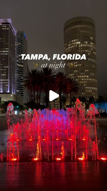 That's So Tampa on Instagram: "Beautiful Tampa at night ✨ What’s your favorite late night bar/restaurant in Tampa? Favorite after hours spots: @beacontampa Late show at @tampatheatre @joydivebar @crowbarybor - for a good show @newyorknewyorkpizza for a slice @hotel.bar @gasparsgrotto @skipperssmokehouse @lowryparcade @hattrickstavern @dueamiciybor #tampabay #downtowntampa #southtampa #roamflorida #pureflorida #tpa #tampaflorida #tampa #nightlife #rooftop #publicart #riverwalk" Tampa Nightlife, Night Bar, Hotel Bar, River Walk, Tampa Florida, Bar Restaurant, After Hours, Miami Florida, Public Art