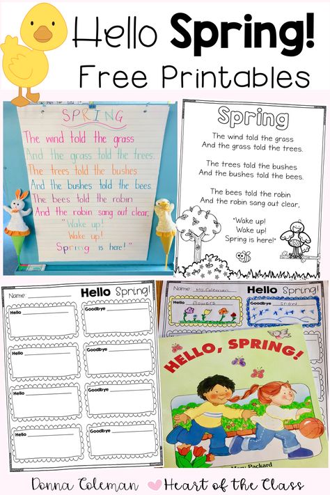 Free Spring Poem and Hello Spring activity. Welcome Spring into your classroom with this classic Spring Poem and fun Hello/Goodbye Spring activity. #heartoftheclass #springactivities #firstgrade #kindergarten Spring Activities Grade 1, Spring Poems For Kindergarten, When Spring Comes Book Activities, Spring Writing Kindergarten, First Day Of Spring Activities, Spring Free Printables, Spring Writing Activities, Spring Writing Activity, Spring Kindergarten Activities