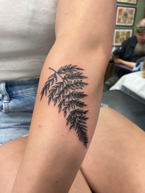 #ferns #ferntattoo #tattooideas #tattoodesign Fern Tattoo Placement, Traditional Fern Tattoo, Folk Tattoos, Japanese Fern, 2024 Tattoo, Fern Tattoo, Traditional Style Tattoo, Party Tattoos, Hippie Flowers