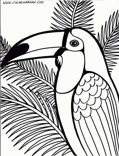 Toucan coloring page Jungle Coloring Pages, Coloring Pages For Teenagers, Afrique Art, Cartoon Birds, Bird Coloring Pages, Dinosaur Coloring Pages, Online Coloring Pages, Animal Coloring Books, Coloring Pages For Girls