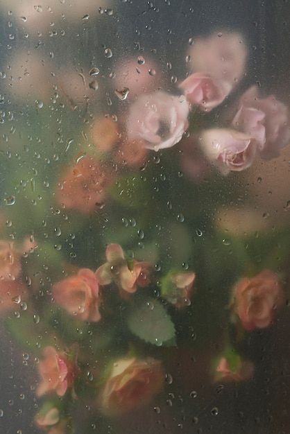 View of flowers through condensed glass | Free Photo #Freepik #freephoto #blooming-flower #flower #blooming #blossom-flower Wet Flower Wallpaper, Rainy Wallpaper Aesthetic, Flower Desktop Wallpaper, Wet Flowers, Rainy Window, Rainy Wallpaper, Michel De Montaigne, Flower Background Images, Rain Wallpapers