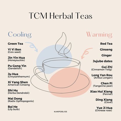 Tcm Breakfast, Chinese Medicine Diet, Vata Diet, Japanese Medicine, Chinese Herbal Tea, Tcm Traditional Chinese Medicine, Acupuncture Benefits, Medicine Chest, Chinese Herbal Medicine