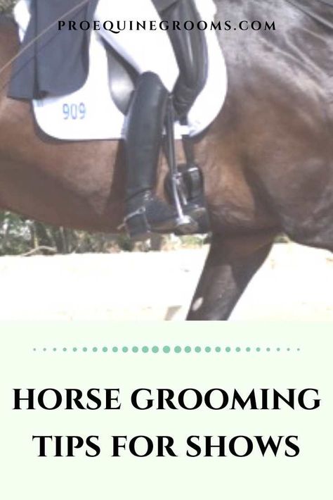 Get your horse show ready with these grooming tips! Learn how to enhance their coat's shine, trim their mane and tail, and ensure they look their best in the ring. #HorseGrooming #ShowPreparation Wispy Hair, Horse Equipment, Horse Grooming, Grooming Tips, Horse Trailers, Horse Health, Mane N Tail, Grooming Routine, Ear Hair