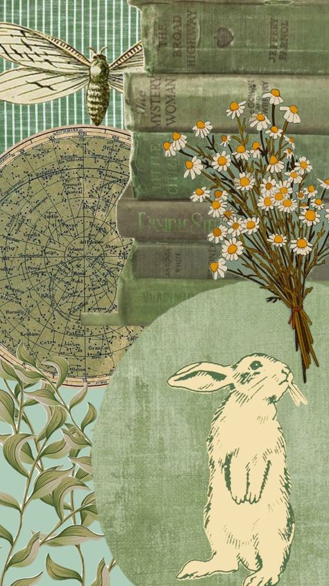 #rabbit #bunny #bunnyrabbit #green #greenvintage #greenaesthetic #greenvintageaesthetic #vintage #flowers Rabbit Aesthetic Wallpaper, Aesthetic Rabbit Wallpaper, Aesthetic Wallpaper Rabbit, Green Bunny Aesthetic, Green Rabbit Aesthetic, Rabbit Collage, Bunny Collage Art, Polaroid Collage, Green Rabbit