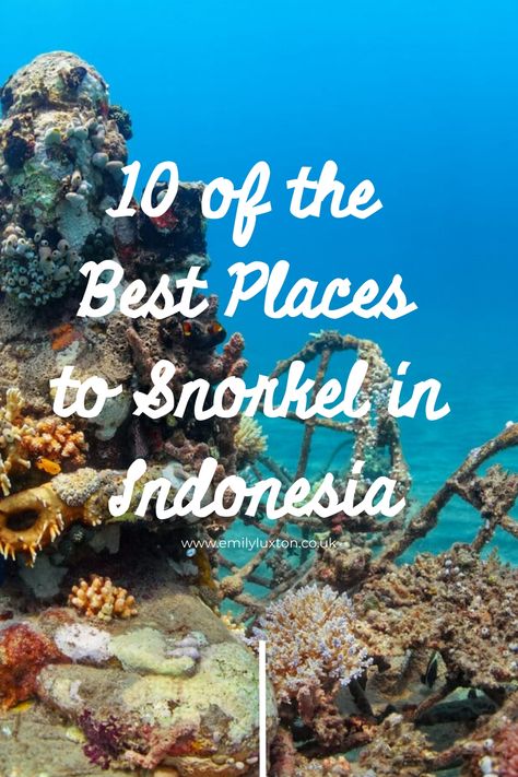 A guide to the best places to snorkel in Indonesia – from remote archipelagos to Bali’s stunning marine reserves. Best Places To Snorkel, East Kalimantan, North Sulawesi, Komodo National Park, Komodo Island, Backpacking Asia, Coral Garden, Gili Island, South America Travel