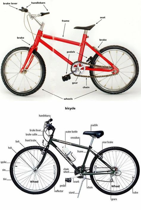 A bicycle, also called a cycle or bike, is a human-powered, pedal-driven, single-track vehicle, having two wheels attached to a frame, one behind the other ... Picture Dictionary, English Vocab, Learn Faster, English Tips, Grammar And Vocabulary, Learn English Vocabulary, Bicycle Parts, English Learning, Education English