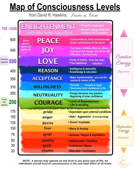 Consciousness Levels, David Hawkins, Energy Frequency Vibration, Good Vibration, Smoothie Protein, Level Of Consciousness, Life Calling, Glow Up Challenge, Dr Wayne Dyer