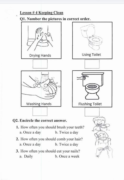 Manners Preschool, Sequence Of Events Worksheets, Evs Worksheet, Hygiene Lessons, Clothes Worksheet, Free Science Worksheets, Esl Materials, Grade 2 Science, Nursery Worksheets