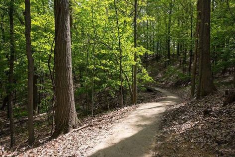 Cle Metroparks Celebrates Opening Day for Trails Launches Trail Challenges Brandywine Falls, Cleveland Metroparks, Cuyahoga Valley National Park, Northeast Ohio, Take A Hike, Opening Day, Some People, Fresh Air, How To Stay Healthy