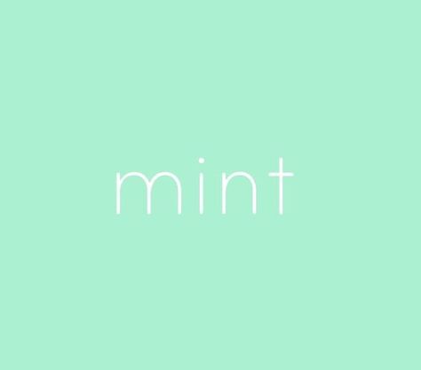 Mint💙💚 Mint Aesthetic, Aesthetic Header, Mint Green Aesthetic, Aqua Mint, Minty Green, Mint Blue, Aesthetic Colors, Colour Board, Mint Color