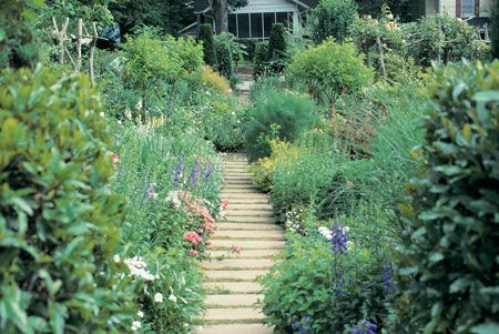 walkway Small Flower Gardens, Mother Earth Living, Pergola Swing, Vegetable Garden Planning, Building A Pergola, Herb Gardening, Plants Ideas, Flower Gardens, Beautiful Flowers Garden