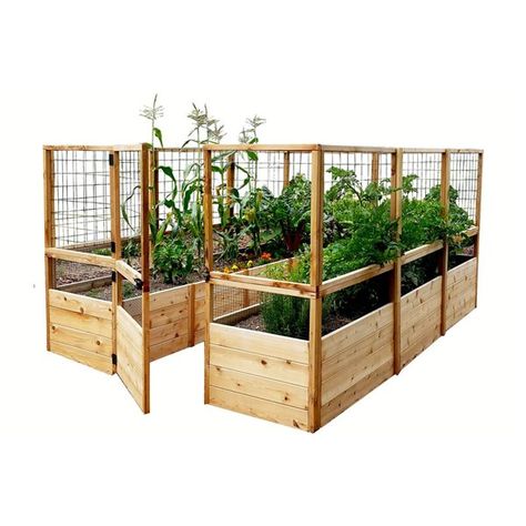 Looking for a garden that offers plenty of growing space, as well as some additional space for those who have limited mobility? Look no further. We offer our 8-ft x 12-ft easy access raised garden bed to take your gardening to the next level unimpeded by mobility issues with the large open center, and by uninvited guests with our added 67-in high deer fence.Western red cedar construction manufactured in CanadaAssembled dimensions: 92-in W x 141-in D x 67-in HGarden bed panels are pre-manufacture Cedar Raised Garden Beds, Deer Fence, Cedar Garden, Vertical Vegetable Garden, Diy Raised Garden, Backyard Vegetable Gardens, Raised Garden Beds Diy, Pallet Garden, Pallets Garden