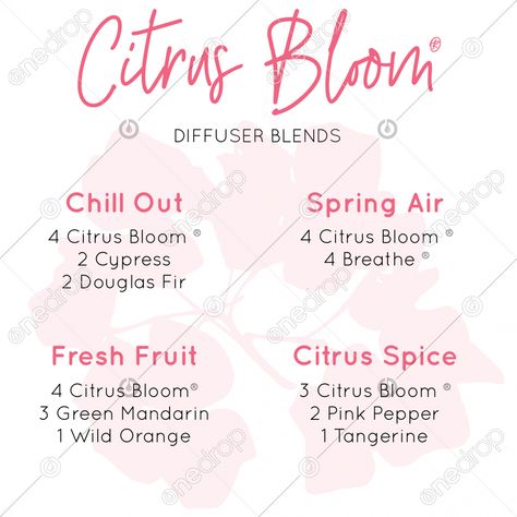 Wild Orange Diffuser Blends, Citrus Bloom Diffuser Blends, Doterra Citrus Bloom, Diffuser Cleaning, Diy Diffuser Blends, Doterra Recipes, Doterra Diffuser, Doterra Diffuser Blends, Doterra Essential Oils Recipes