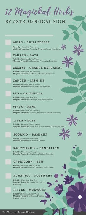 An infographic of 12 magickal herbs by astrological sign, including magickal correspondences. Herb Correspondences, Magickal Correspondences, Witch Things, Magickal Herbs, Witchy Tips, Plant Magic, Magic Herbs, Witchcraft Spell Books, Astrological Signs